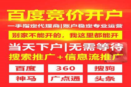 案例分析：信息流广告投放转化率提升策略